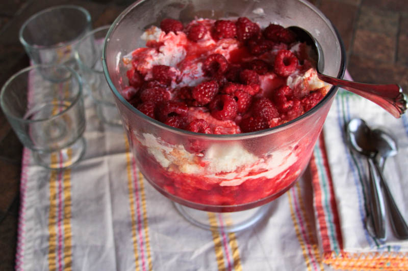 Berry Trifle w/ yogurt and jello