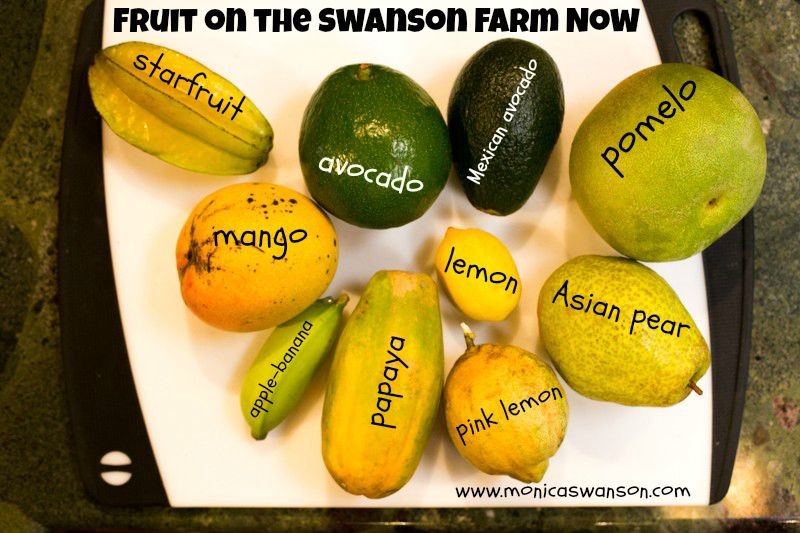 fruit on thefarm